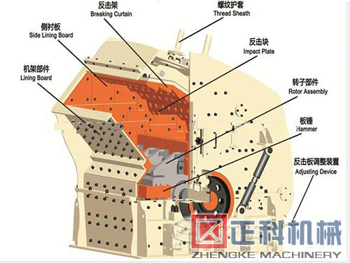 反击猫咪视频下载