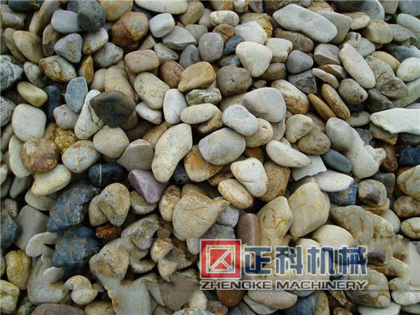 河卵石移动式猫咪视频下载