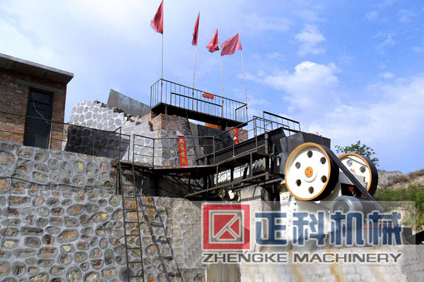 颚式猫咪视频下载现场