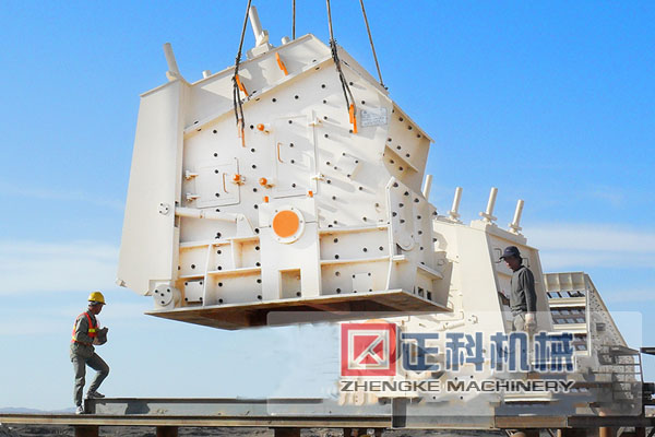 反击式猫咪视频下载