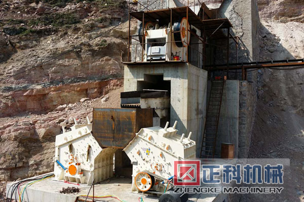 反击式猫咪视频下载