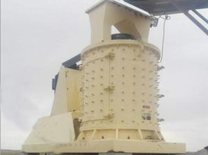 立式板锤猫咪视频软件